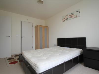 Picture 7